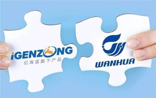 萬華與億海藍(lán)聯(lián)手打造可視化物流，開創(chuàng)數(shù)字供應(yīng)鏈管理新篇章