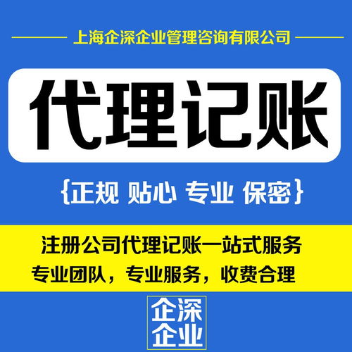 專業(yè)的嘉定區(qū)財(cái)務(wù)代理服務(wù)