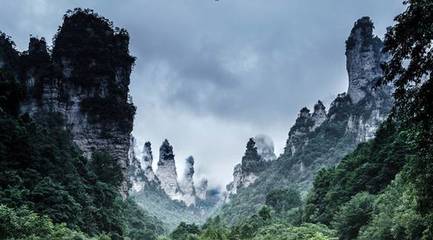 暑期旅游預測發布 避暑勝地迎客流高峰，四大特色產品點亮張家界之旅