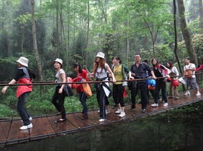 張家界旅游全攻略 注意事項(xiàng)、必買(mǎi)特產(chǎn)與經(jīng)典游玩路線(xiàn)